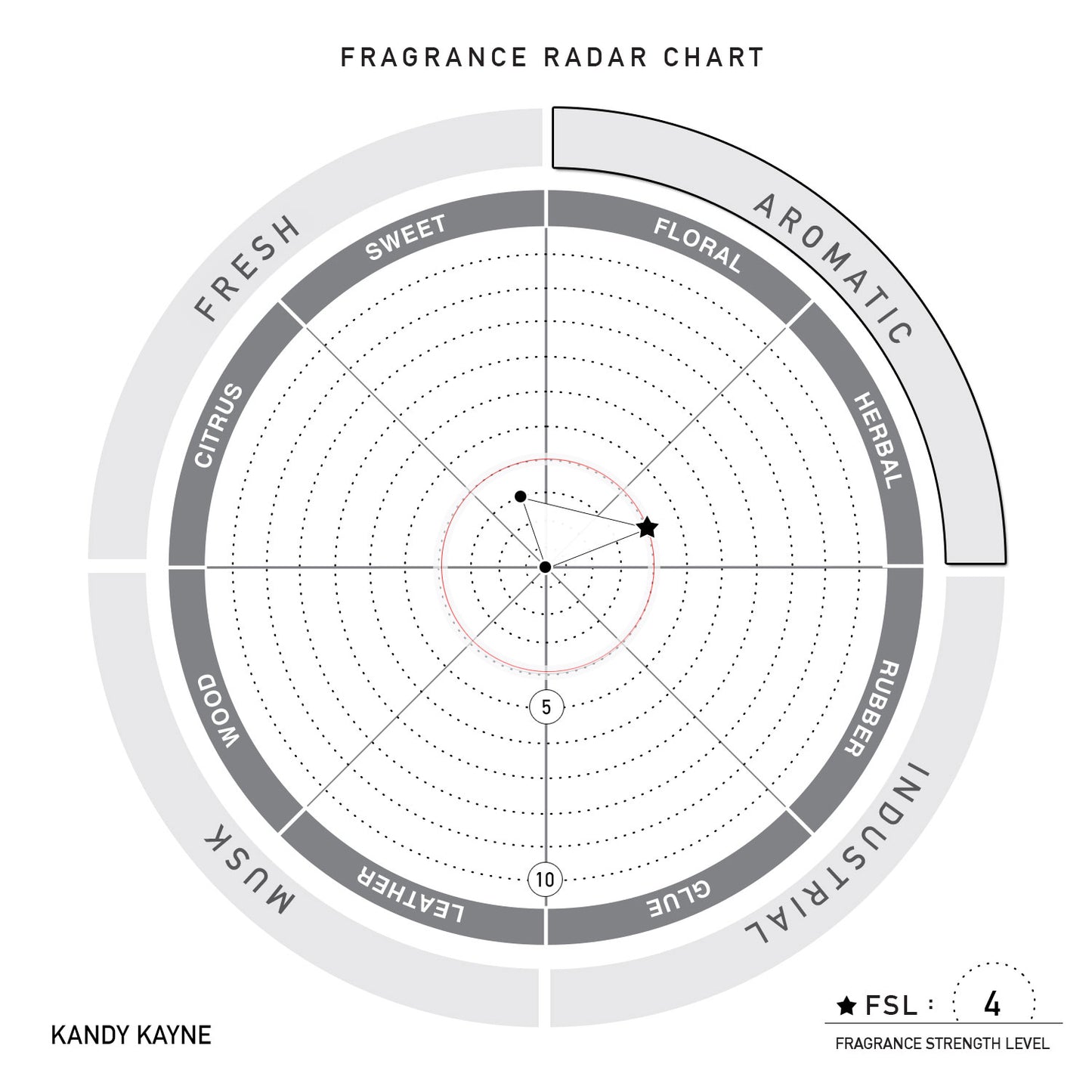 ANTIDŌT® - Kandy Kayne - solscience®  Sneaker Deodorizer Spray