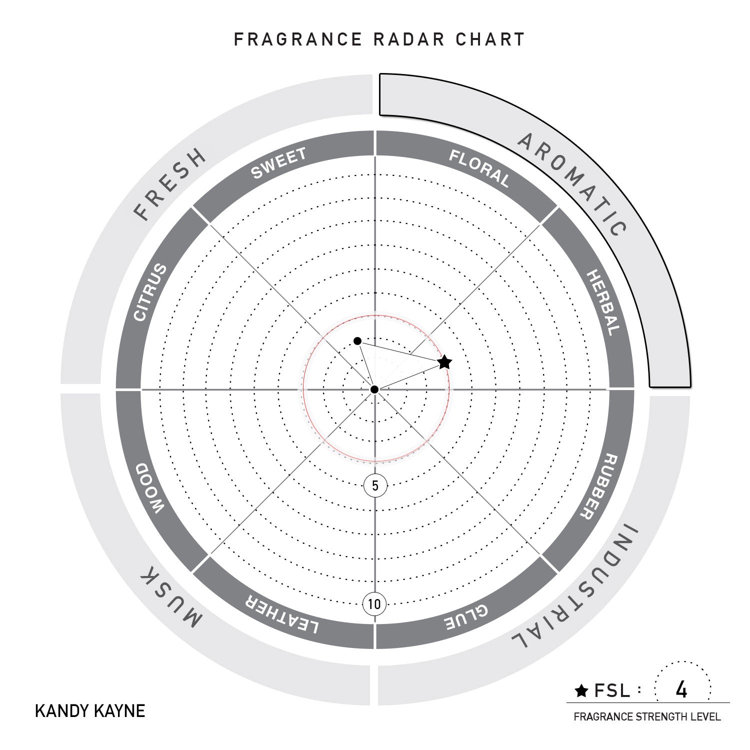 ANTIDŌT® - Kandy Kayne - solscience®  Sneaker Deodorizer Spray